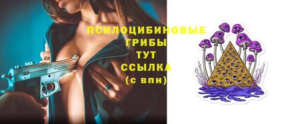 прущие грибы Зеленокумск
