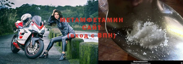 прущие грибы Зеленокумск