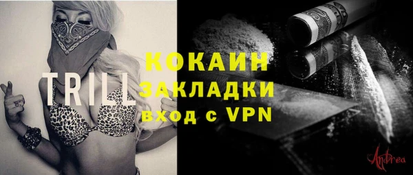 прущие грибы Зеленокумск