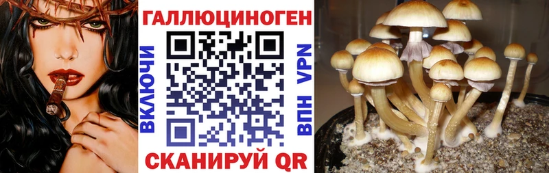 Галлюциногенные грибы ЛСД  Купить закладки  Кашин 